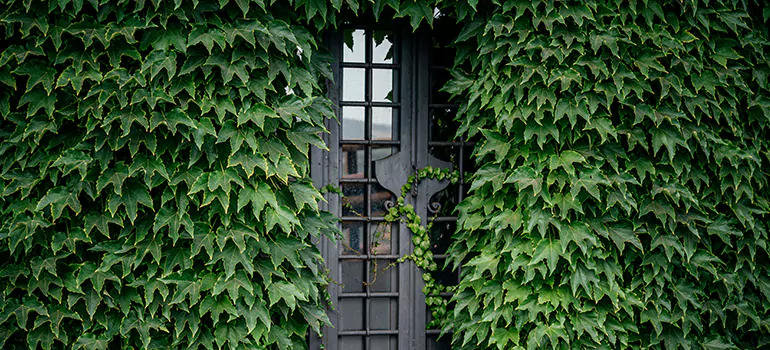 Garden Gate Repair in San Francisco, CA