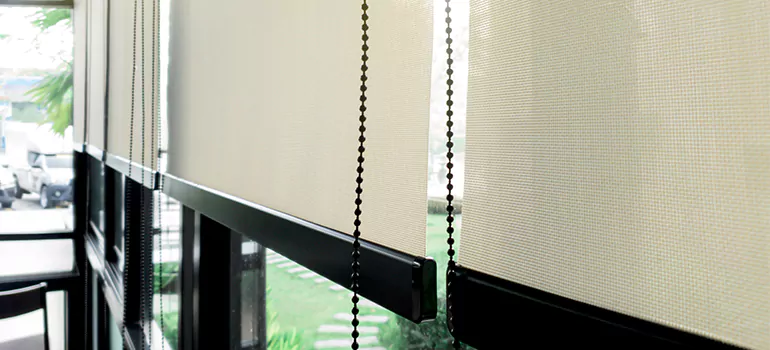 Blackout Window Shades in San Francisco, CA