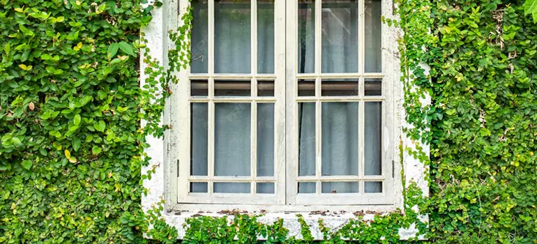 Garden Window Repair Near Me in San Francisco, CA